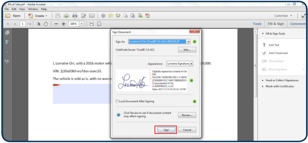 Sign Document Window with Sign button highlighted