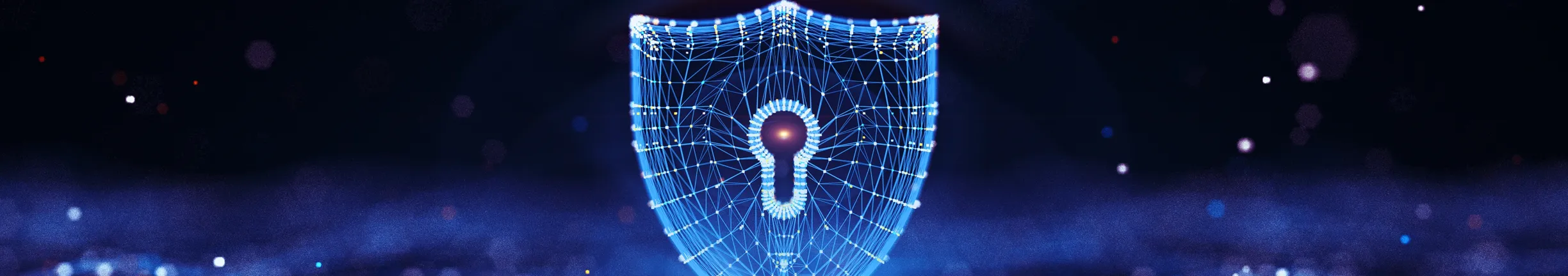 Banner/Decorative image