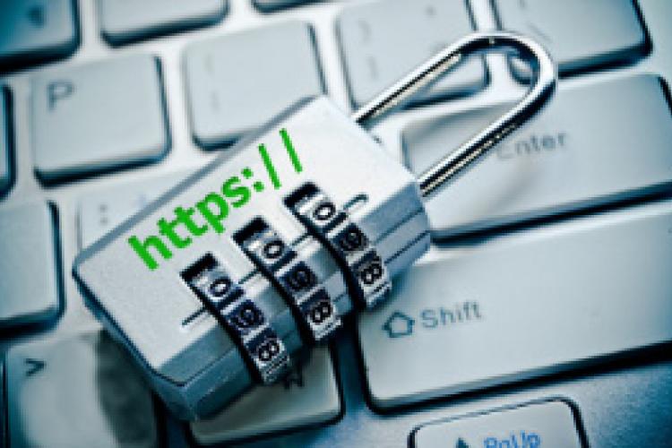 Publicly Trusted Website Security